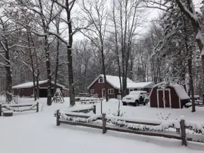 Lambeau Field Cabin - Image 2