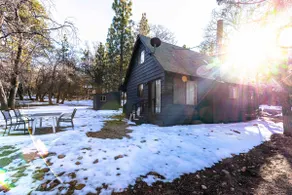 Serene Cabin Surrounded by the National Forest - Image 2