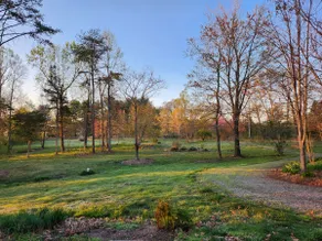 GreeneStone A relaxing home Shenandoah NP - Image 4