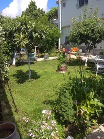 Sofia's Cottage - Image 4