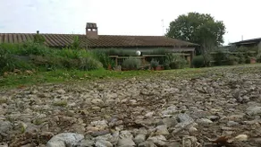 Independent Country House ”La Mula” - Image 5