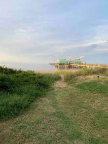Beachfront Cottage with BEST Location in OceanView - Image 2