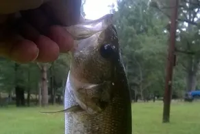 Lakefront Guest House-Private Fishing. - Image 2