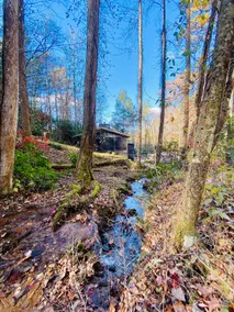 Mountain Creek Cabin VERY private 13 acres with trails, creeks. Bordering USNF! - Image 5