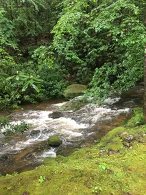 Bungalow on the Creek - Image 4