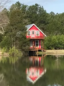 13 Acre E. Texas Retreat near Canton 3 Stock Ponds - Image 2