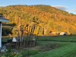 Studio Suite with Vermont Style & Amazing Views - Image 2