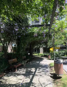 LIFE Apartment: “Los Chapulines” Pool A/C - Image 3