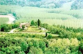 Villa Belvedere - Image 4