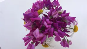 YOUR SECOND SPANISH HOME NEAR ALICANTE!! - Image 5