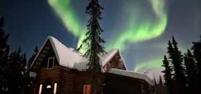 Private woods- On-site SledDog Demo-Aurora! - Image 3