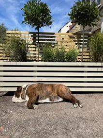 Maison adaptée aux familles avec jardin et jacuzzi | Vue ville | Avec animaux bienvenus - Image 4