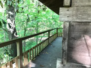 Thunder Ridge —Entire House pet-friendly near NOLA - Image 4