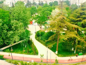 Villa Garden - Image 3
