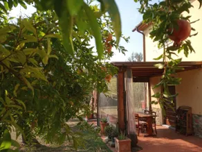 Appartamento Oliver - Image 5