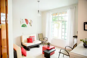 Excellent house with a pool looking for a Monarch sanctuary - Image 2