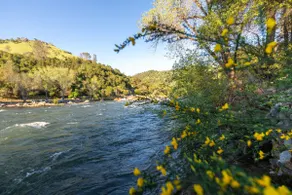 #6 Riverhaus ~ 2 bd Riverfront Coloma 95613 - Image 2
