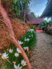 Woodpecker Estate-Wooden villa, mountain view - Image 5