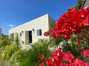 Aruba IXORA A1 | Blenchi Suite, 7m drive from the beach - Image 3
