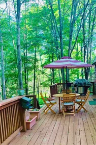 Elk Mountain Ski Area; Rustic Cabin on 15 Acres - Image 5