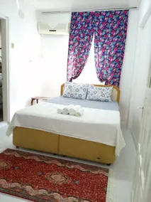 Blue Anemon Guesthouse - Ayvalık - Image 4