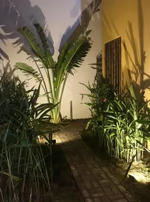 São Miguel do Gostoso with its lifestyle. - Image 4