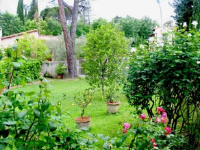 Les couleurs du Chianti - Image 4