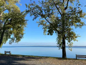 Finger Lakes Wine Country Suite - Image 5