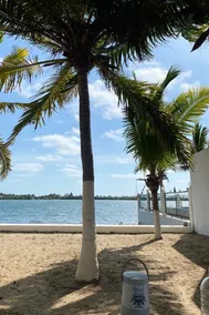 Las Palmeras - Image 4