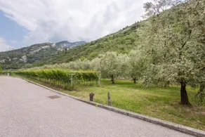 Casa Joanna, the perfect two-room apartment in Torbole - Image 4