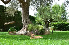 Exlusive Pool Villa - Cascina Relais - Image 4