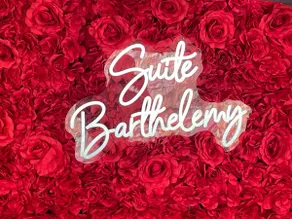 Barthelemy Suite - Garden, Spa and Sauna - Image 3