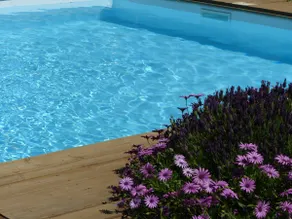 Gîte Les Lauriers Roses - Image 3