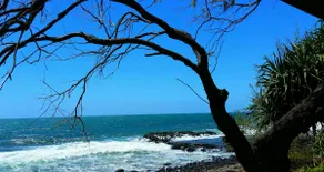 The Cove Retreat- Pet Friendly Oceanfront Studio - Image 5