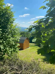 Mountain Top Cabin- Quiet- Wildlife- Mountain View - Image 5
