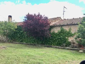 Nice country house with a small pool and gardens - Image 3
