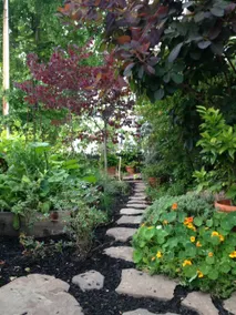 The Roost - A Private Escape in Downtown Petaluma! - Image 3