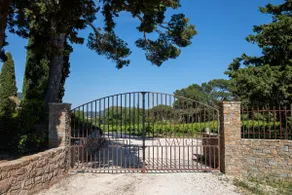 Domaine de la Navicelle - Image 3