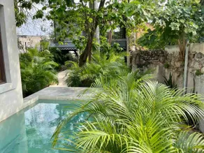Casa 1934, an Oasis in the heart of Merida - Image 5