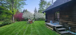 Peaceful Log Cabin in the Woods - Image 3