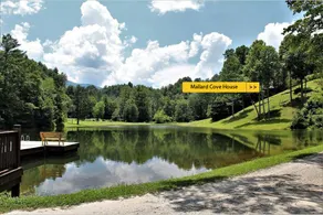 Mallard Cove - lakeside pet friendly - Image 3