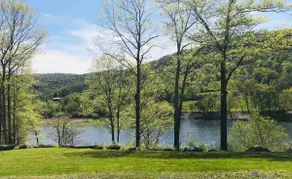 The Delaware River Cabin - Image 5
