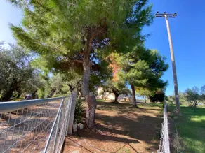 Vacation Family House with Sunset in Olive Grove - Image 4