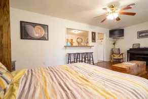 Tortoise Shell Apartment in Nature Habitat - Image 4