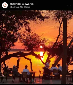 Parris Island: Walk to beach & brewery - Image 5