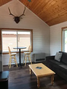 Tomichi Creek Resort Cabin - Image 3