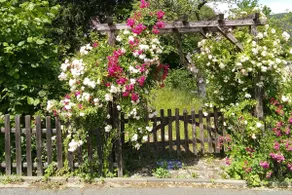 Organic holiday home Villa Windrose with great views - Image 5