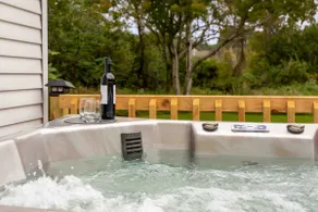 Peaceful Pet friendly 2 BR cottage with hot tub. - Image 4