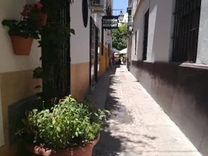 Light and tranquility in the Sta Cruz neighborhood VFT/SE/01936 - Image 2