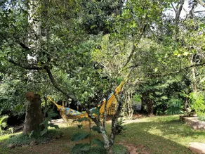 Chalé do Bichinho - Image 4